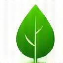 Leaf icon